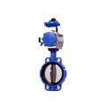 1764d492_actuators1 - Copy